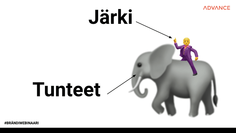 brandin_liiketoimintahyodyt_kuva_3